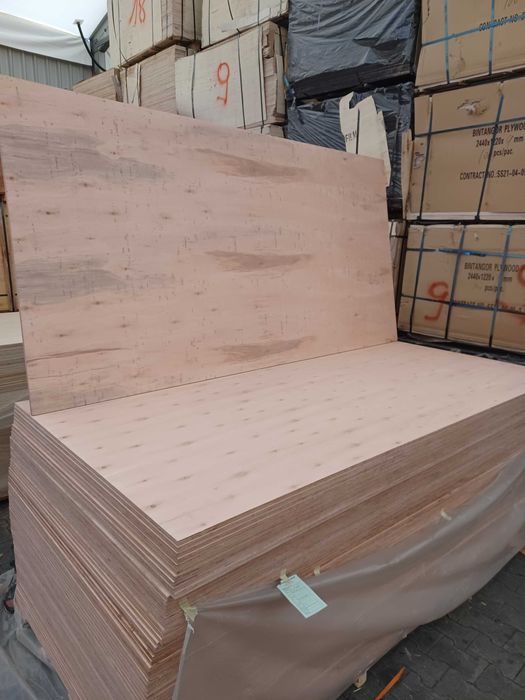 SKLEJKA eukaliptusowa