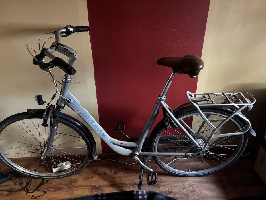Rower Batavus.