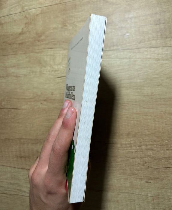 Viagens na Minha Terras