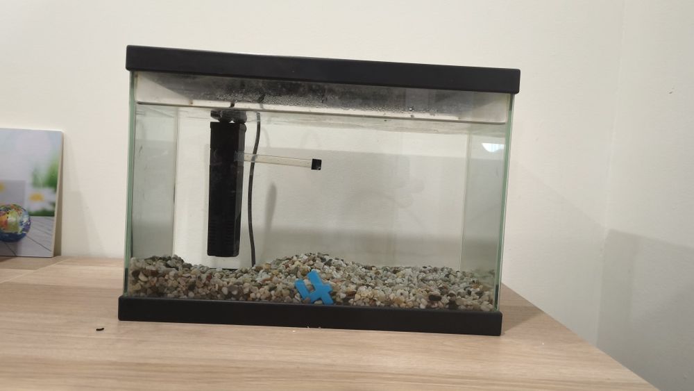 Aquário + filtro de água