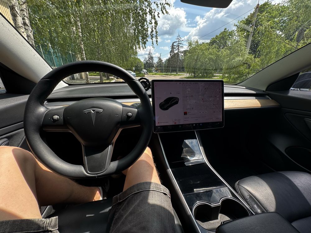 Tesla model 3 2019