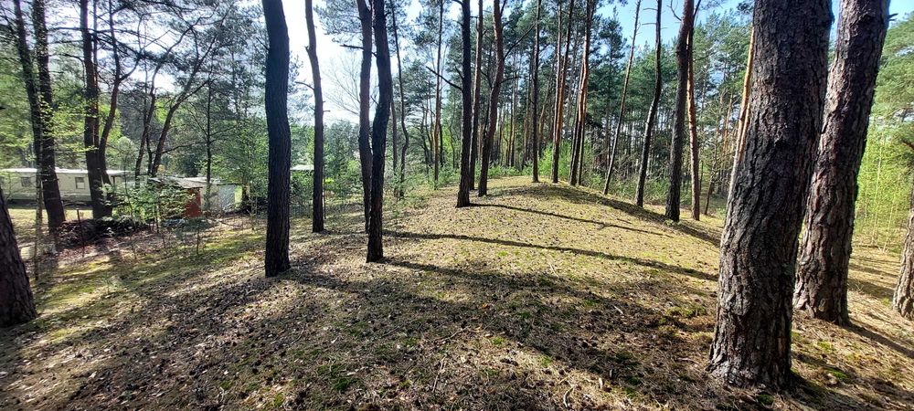 działka budowlana Kamionna/ Łochów pow. Węgrowski