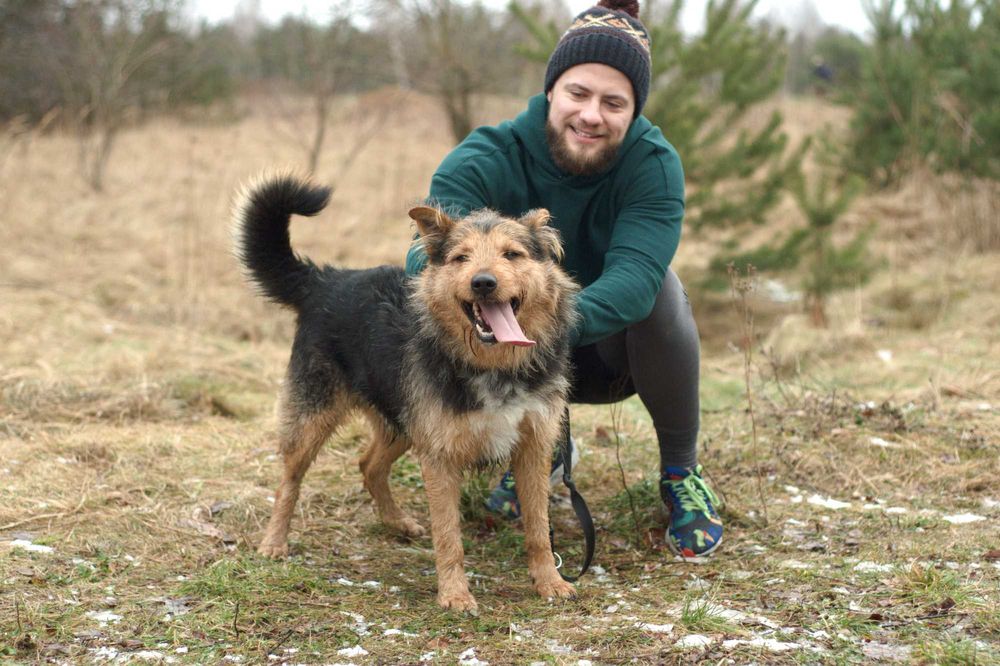 RAZER - żywiołowy, terierkowy, idealny dla aktywnych