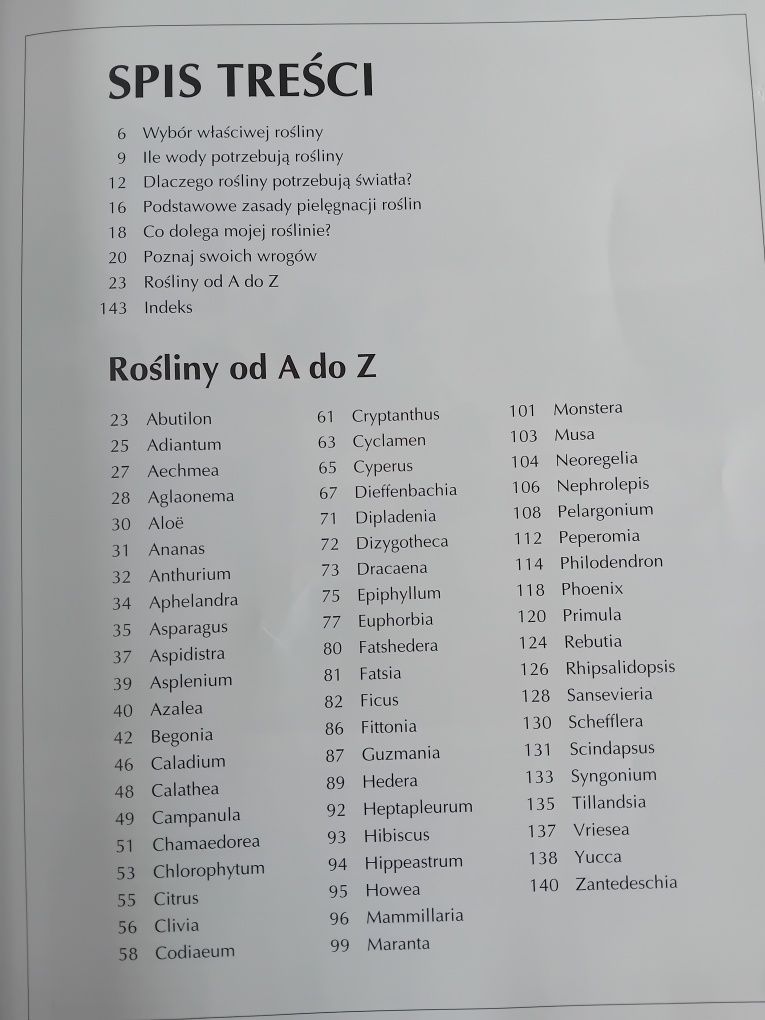 Pielęgnacja roślin doniczkowych