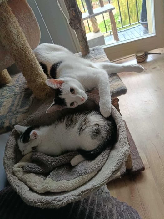 Dom Stałego dla Kacpra