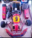 Vendo Kart 125cc 6v