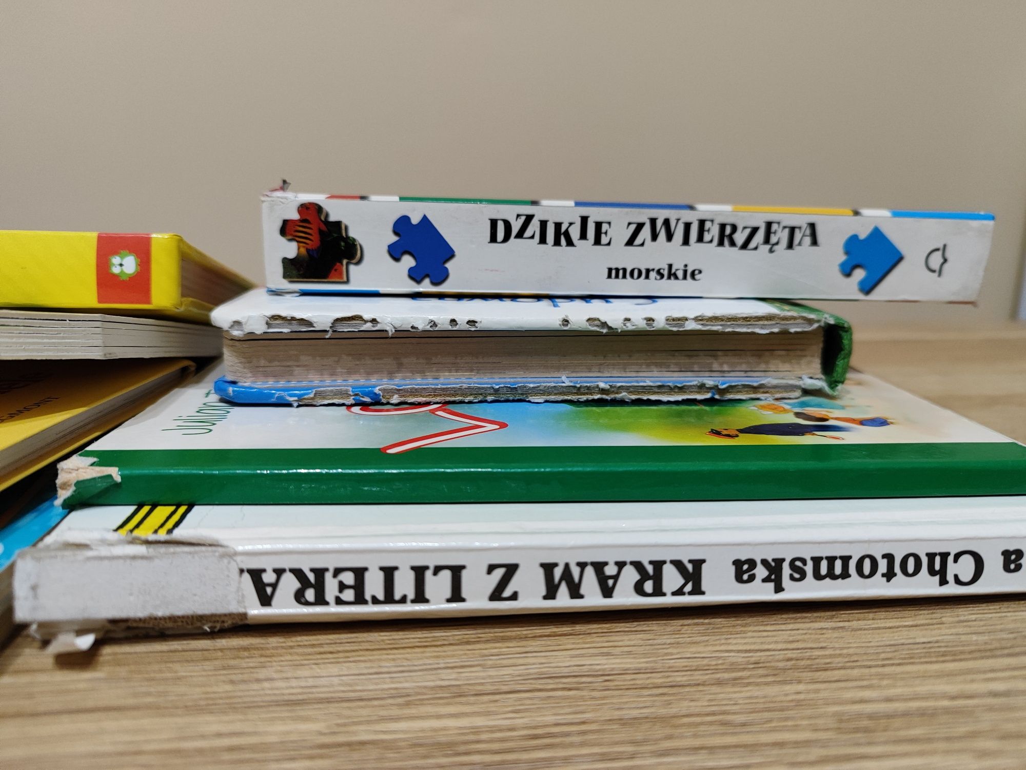 Zestaw książeczek dla dzieci 10 szt.