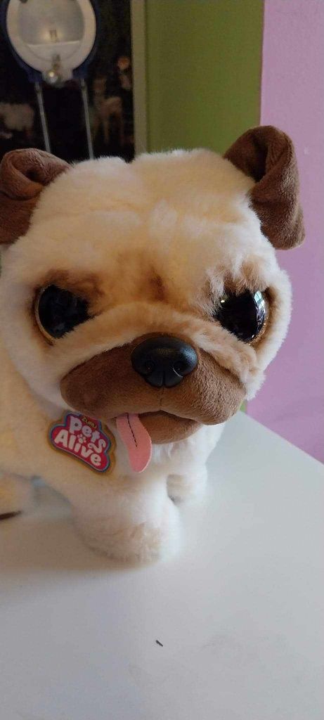 Cão interativo como novo