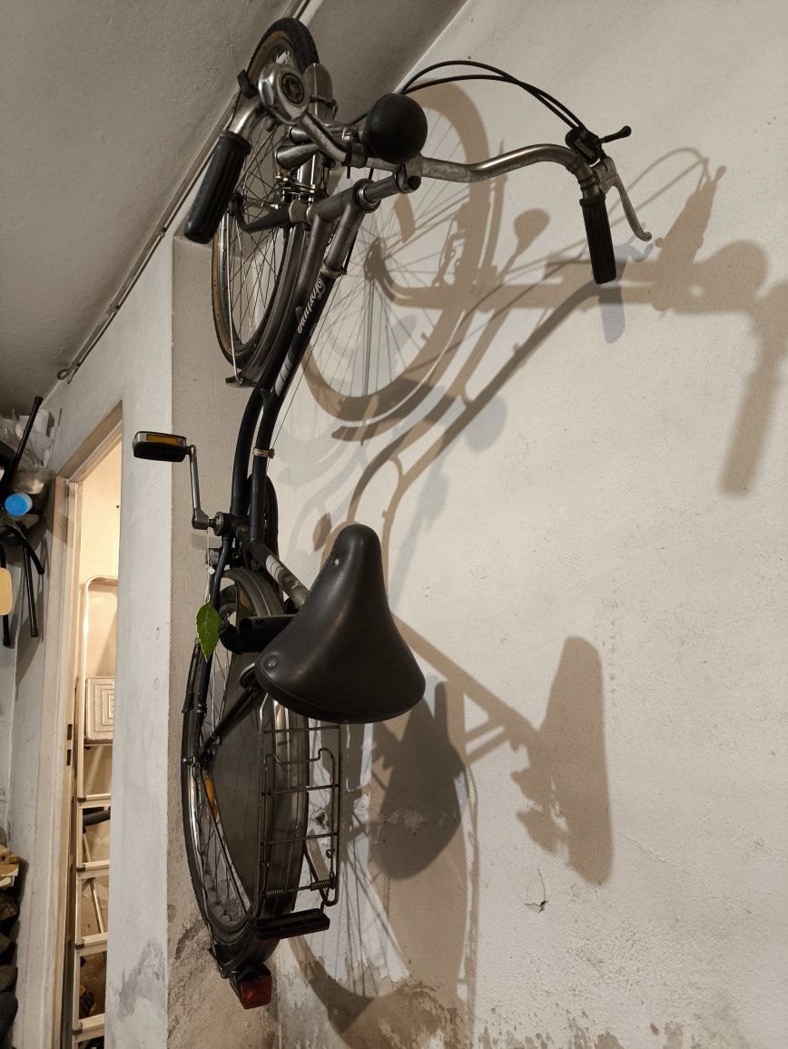 Bicicleta FORTUNA