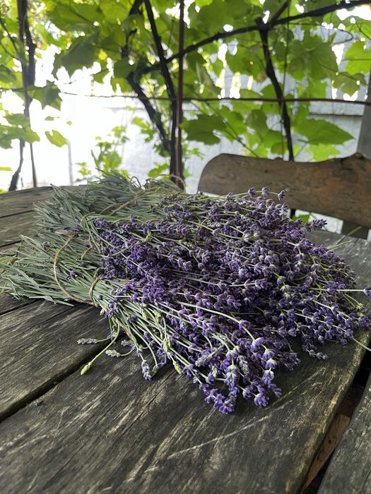 Банні віники з дуба, полині, м'яти, деревій, звіробій, евкаліпта