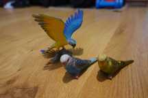 Figurki Schleich zestaw papugi