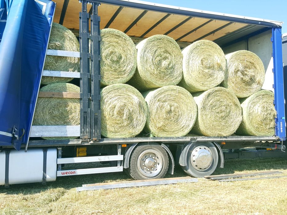 Siano 2025 z traw sianych dla koni z dowozem