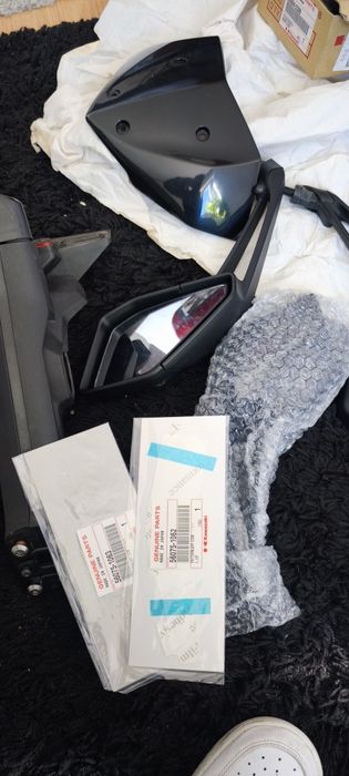 Kawasaki Z1000 SUGOMI