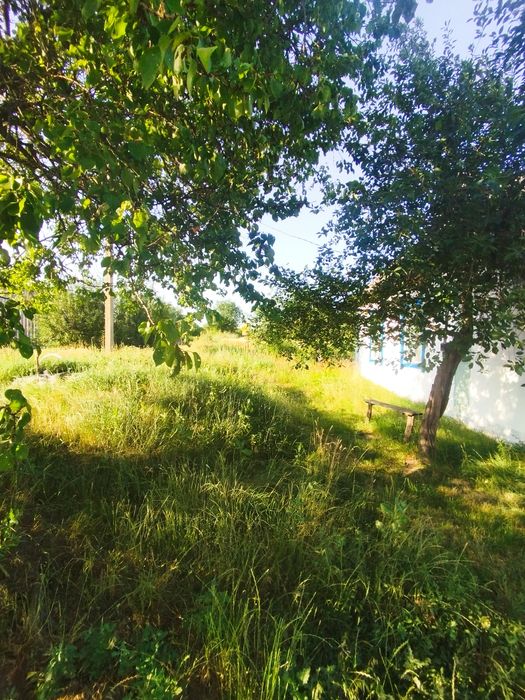 Будинок з умовами