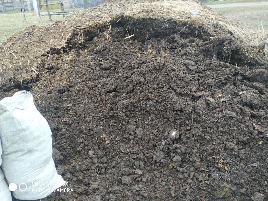 Продам перегной Коровяк конский  и Куриний 80 грн  на сади иогороди