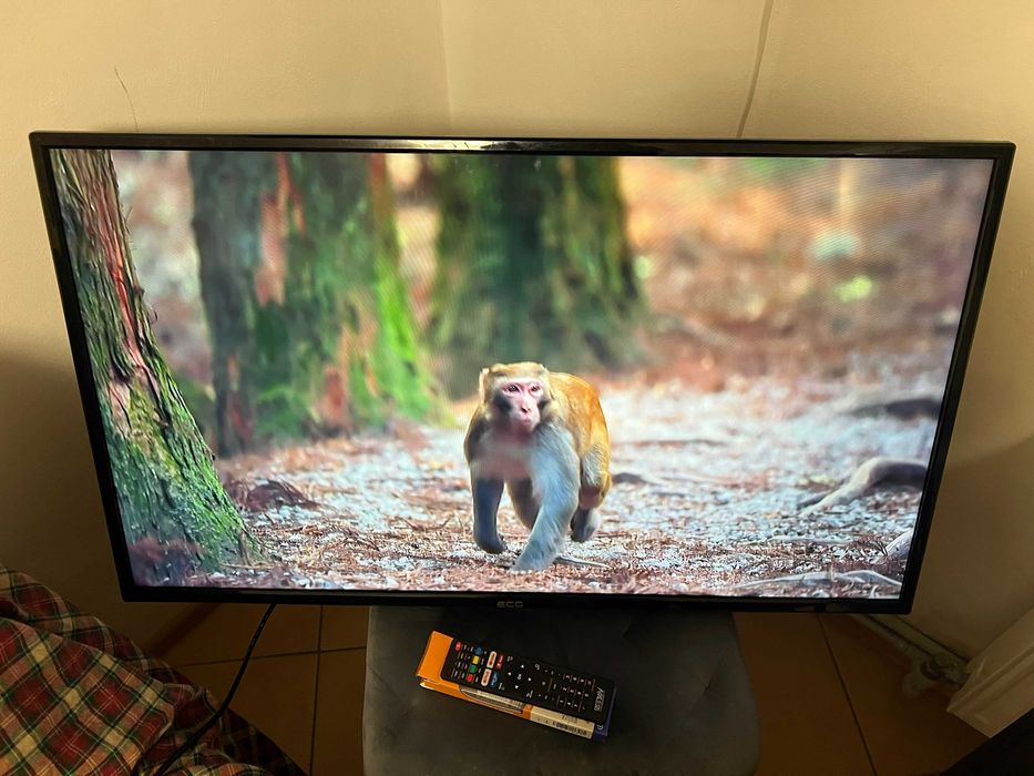 Телевізор ECG 40 F01T2S2