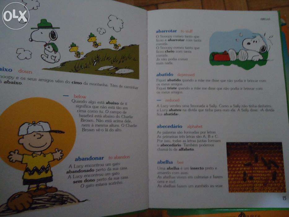 Livro O Dicionário do Charlie Brown