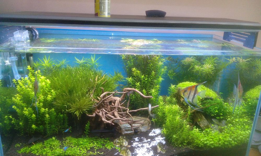 Swietlówka led 120 cm