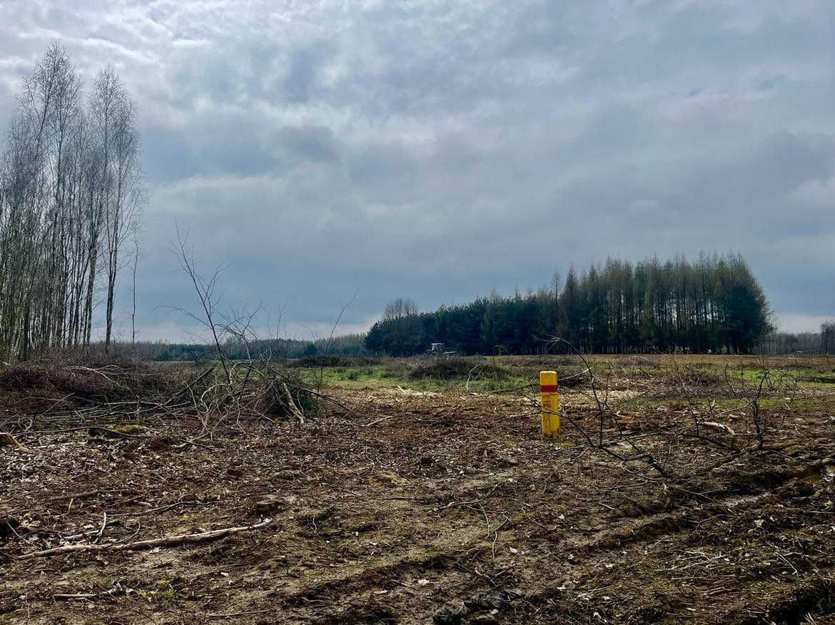 Mulczowanie usuwanie zakrzaczen samosiejek mulczer leśny usługi