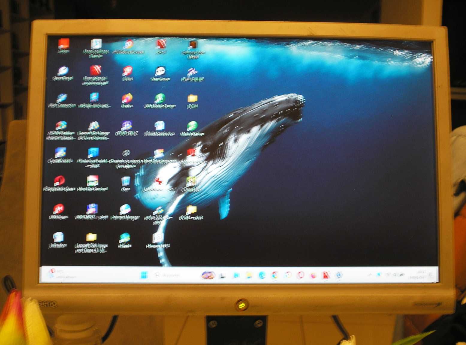 Monitor 19" BENQ G900WA