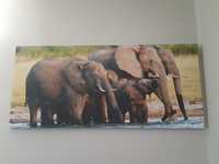 Obraz rodzina słoni i inne