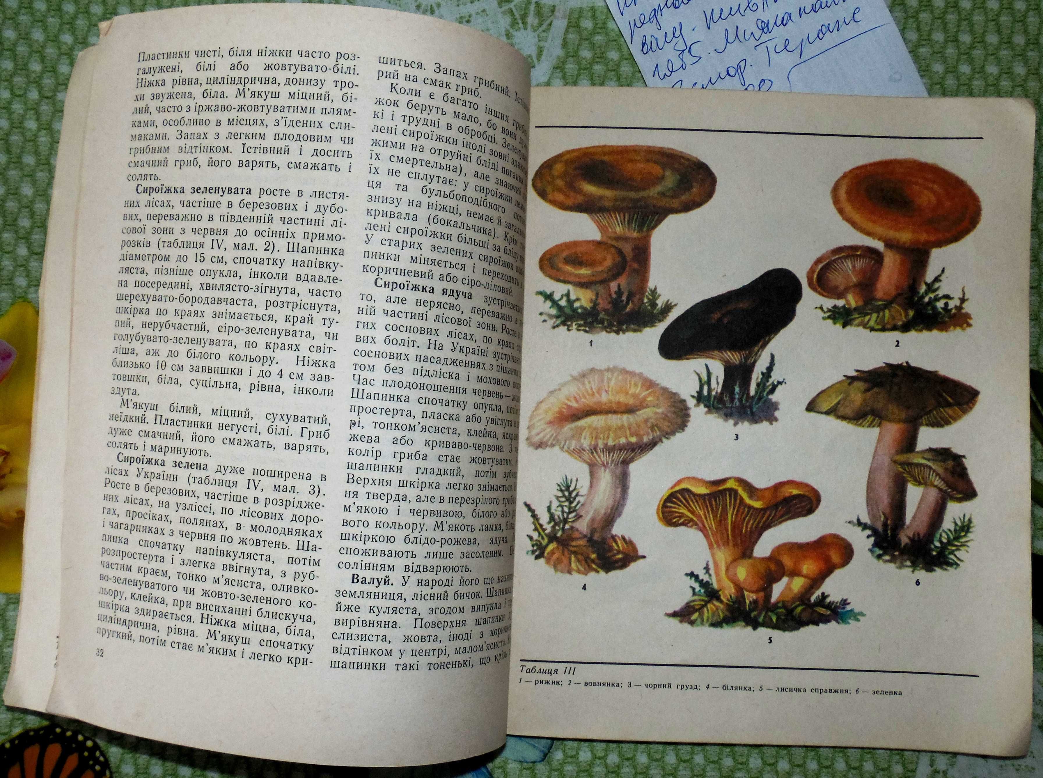 Олексій Рощин. "Гриб-грибок, стрибай у козубок". Науково-популярна.