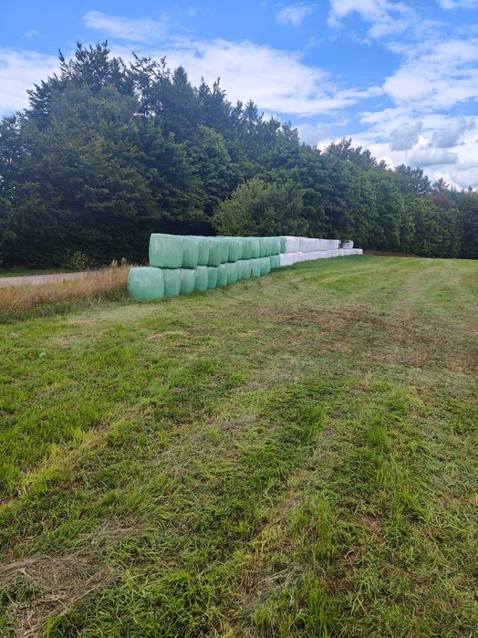 Sianokiszonka po prasie pasowej .