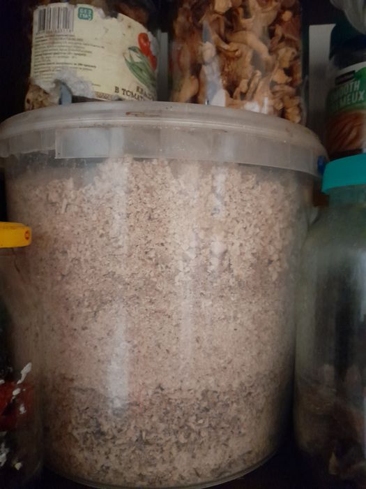 Гриби сушені,змелені в порошок. Мариновані опеньки.