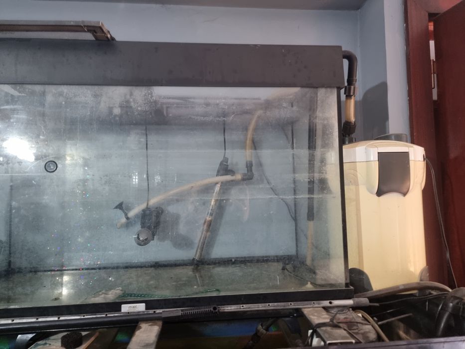 Vendo aquário e filtro ou troco por discus ou escalares  medidas compr