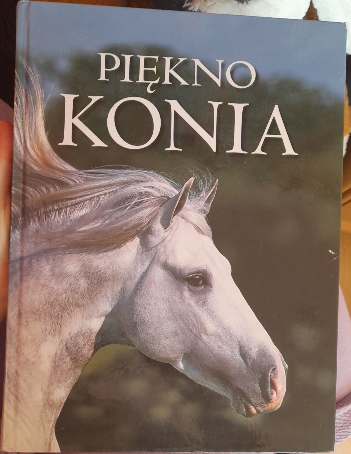 Książki o koniach