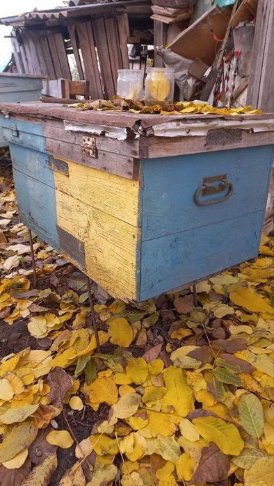 Продам вулики для бджіл