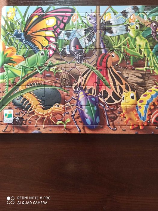 Puzzle z owadami