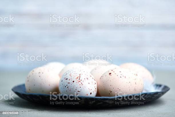 Інкубаційне яйце індички білої широкогрудої