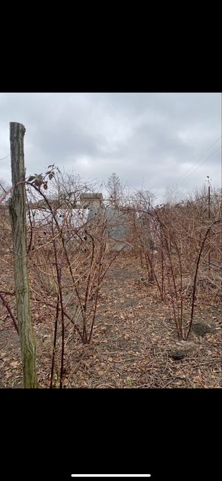 Продам дачу + участок