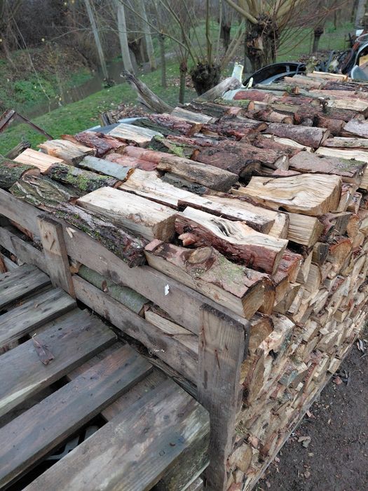 Drzewo opałowe  2,5 metra