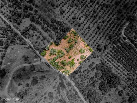Terreno rústico em Torres e Cercas (Silves) – 2670 m2, bons acessos e — Silves, Faro