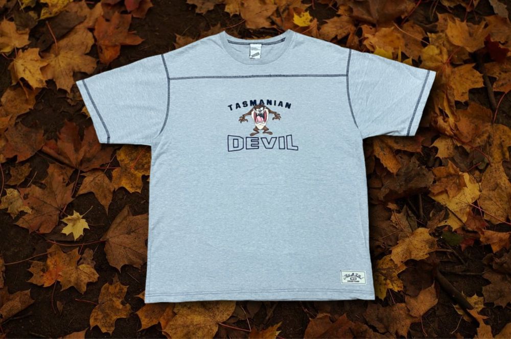 Сіра вінтажна футболка Tasmanian Devil, Graphic tee / XL