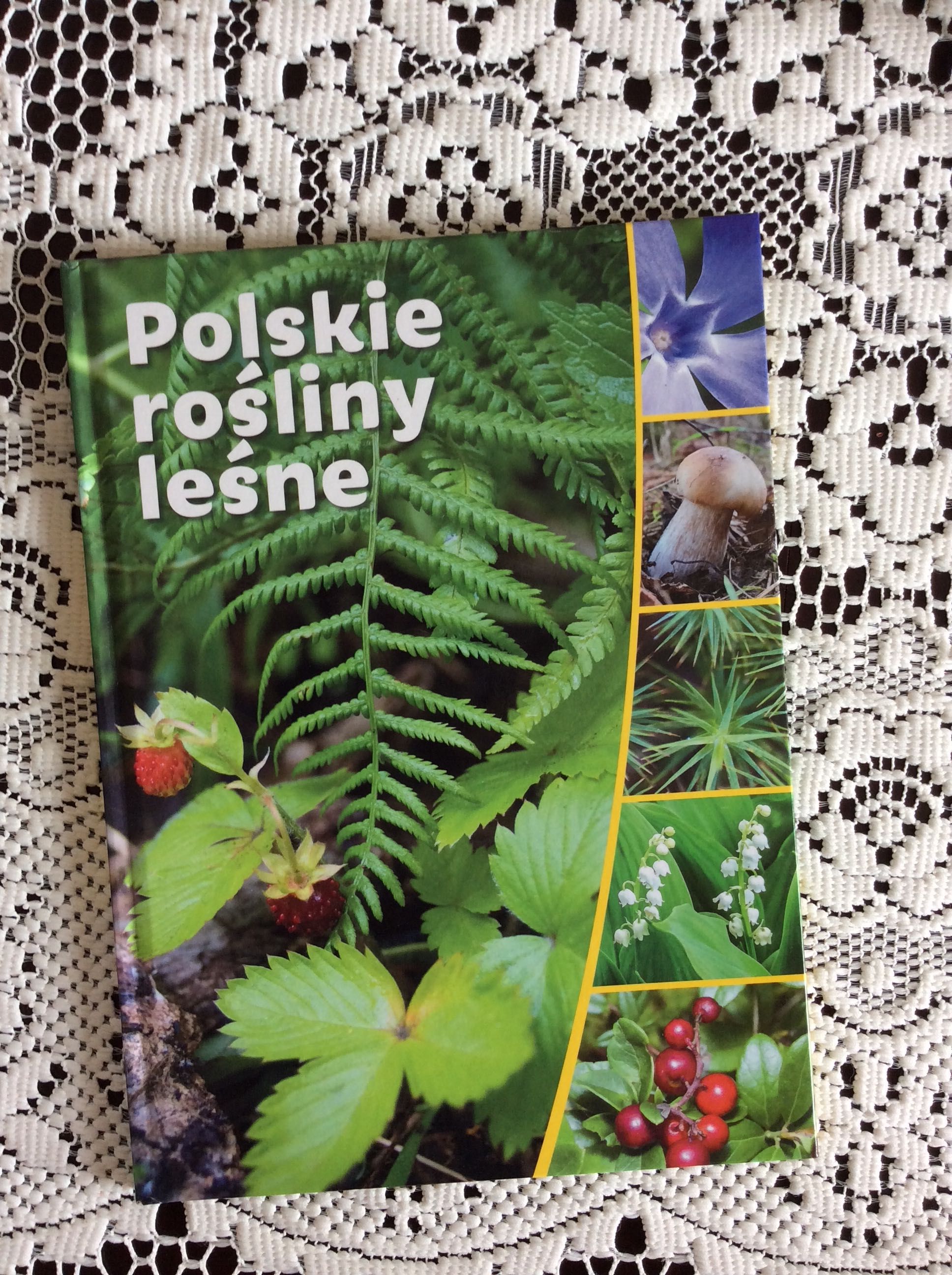 Polskie rośliny leśne, format A4, twarda oprawa