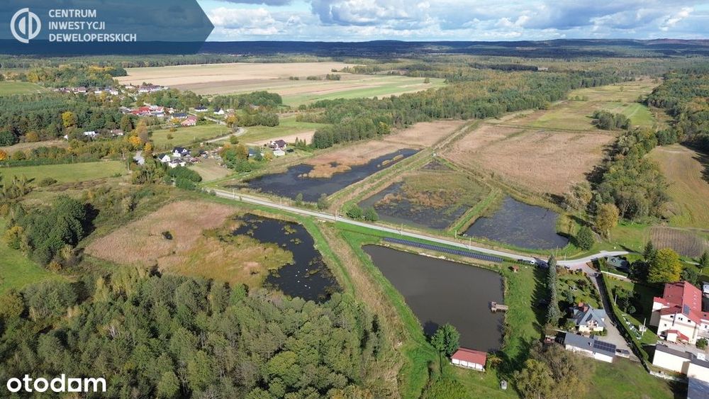 Stawy rybne z prowadzoną hodowlą ryb