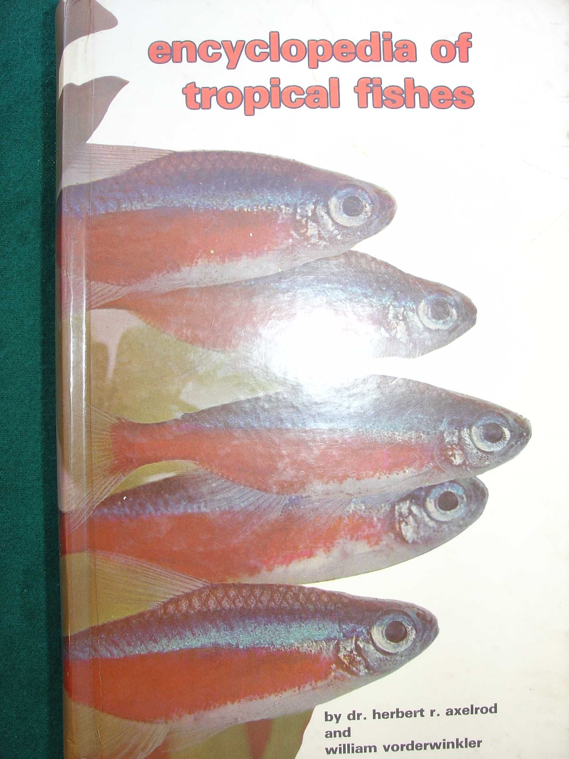Enciclopedia of Tropical Fishes