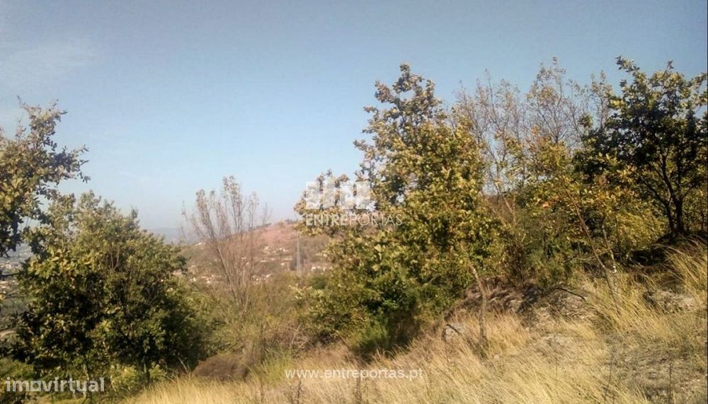Venda Terreno, Soalhães, Marco de Canaveses
