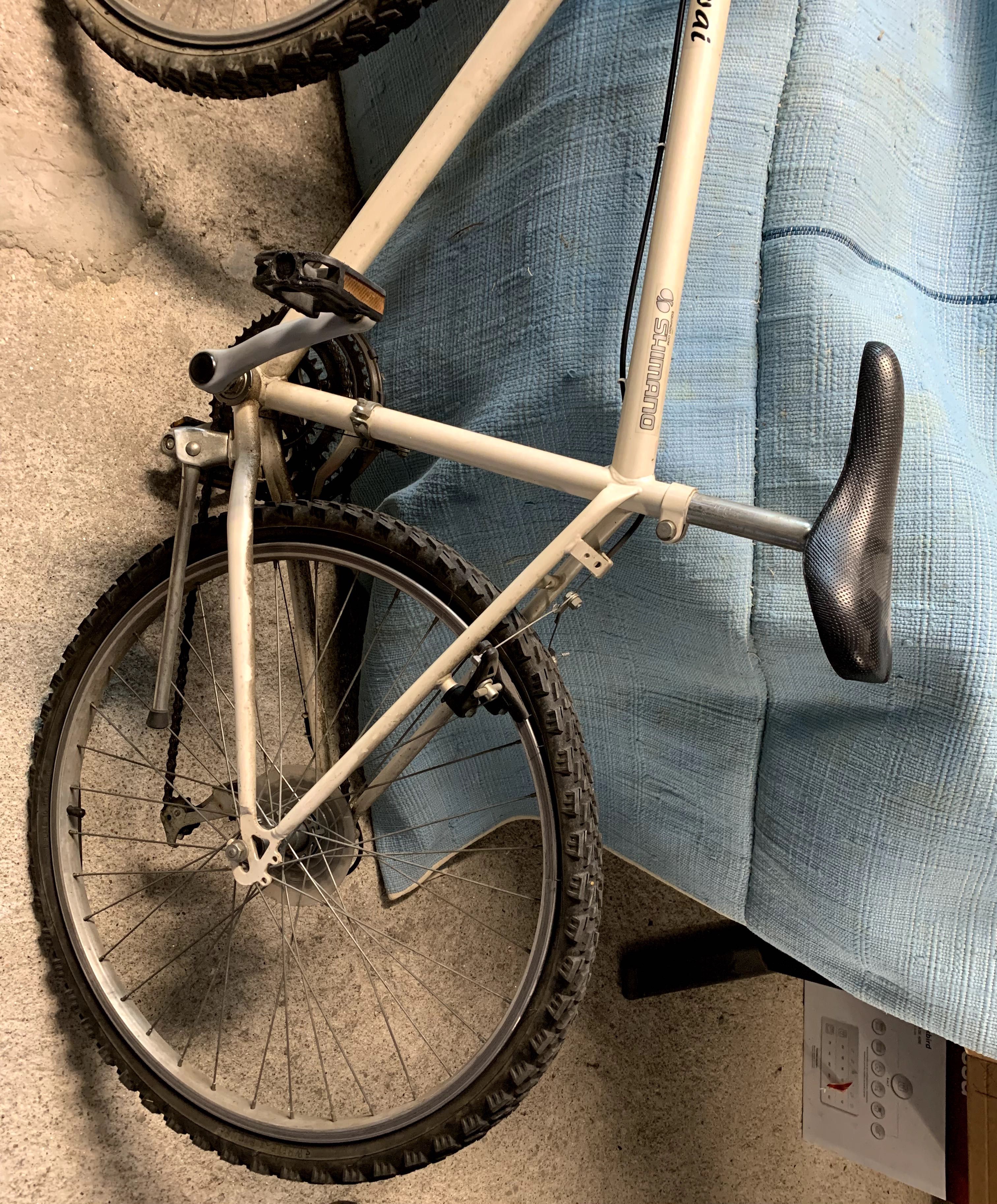 Bicicleta Simples