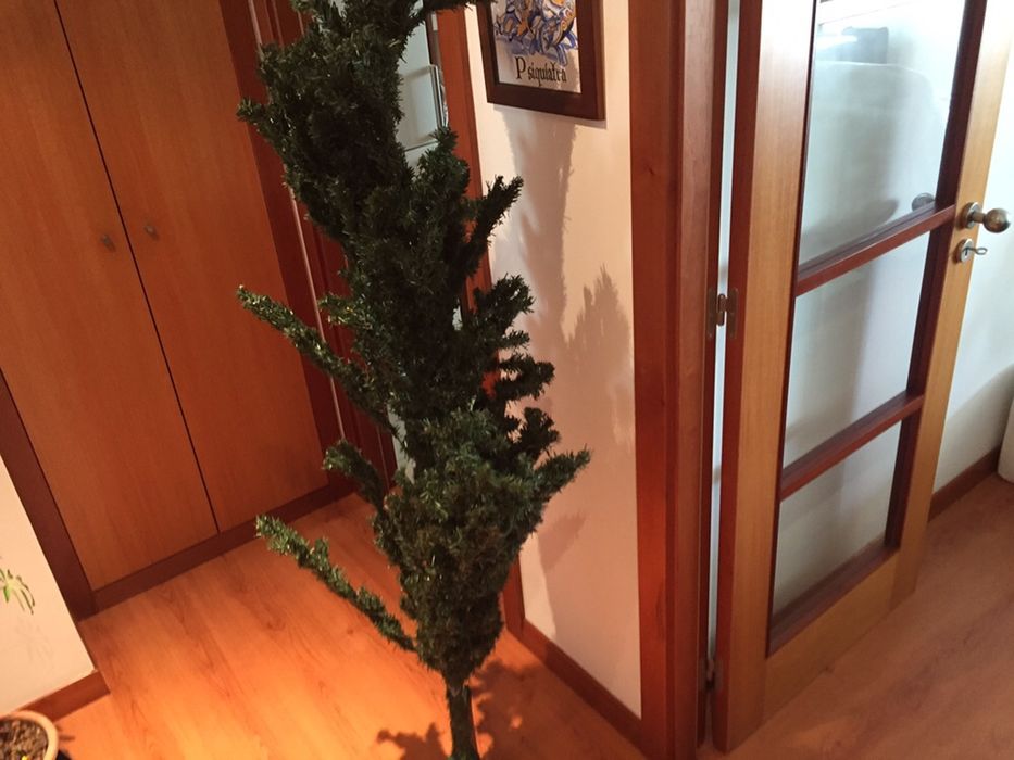 Árvores de natal 1,50 outra 1,8 m