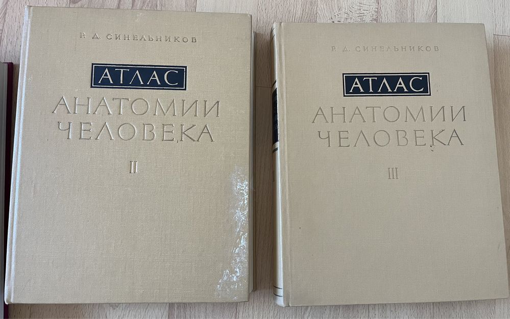 Atlas anatomii Sinelnikov