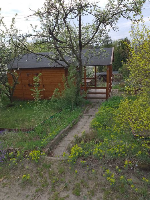 Sprzedam działkę rekreacyjną ROD w Jarocinie.