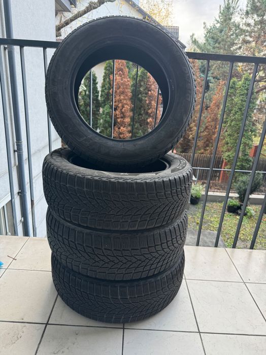 Opony zimowe DAYTON DW510 205/60R16 6mm