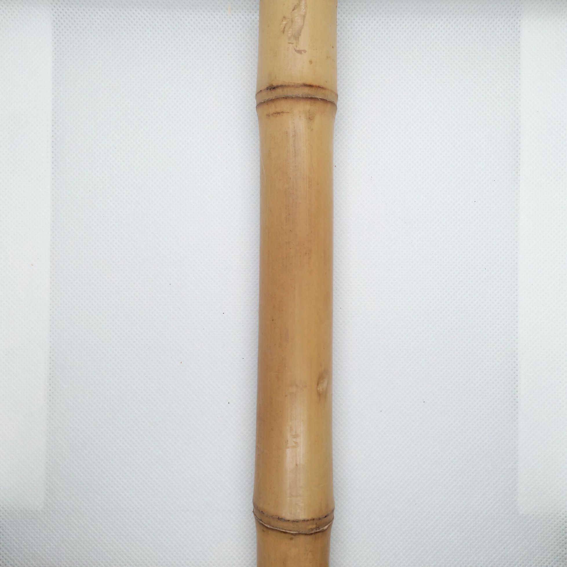 Bambus tyczka dekoracja do terrarium 24/26mm 50cm