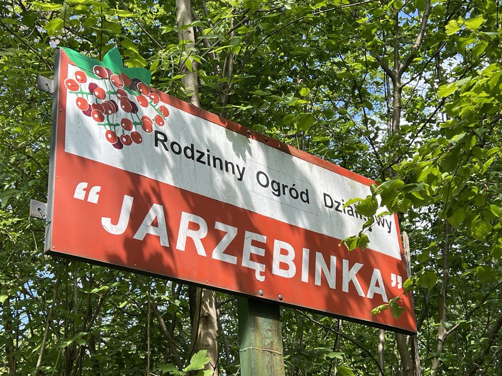 Duża działka ROD „Jarzębinka” Bogatynia