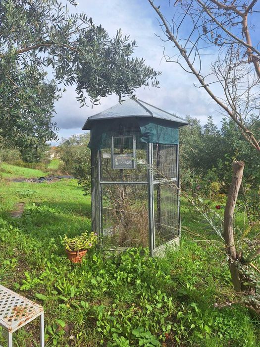 Gaiola galvanizado alto