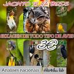 Sexagem   de   aves